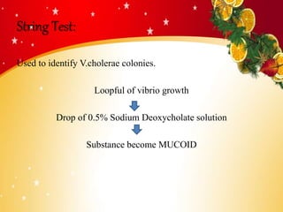 String Test:
Used to identify V.cholerae colonies.
Loopful of vibrio growth
Drop of 0.5% Sodium Deoxycholate solution
Substance become MUCOID
 