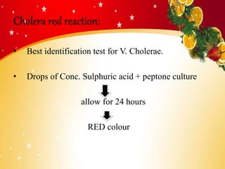 Cholera red reaction:
• Best identification test for V. Cholerae.
• Drops of Conc. Sulphuric acid + peptone culture
allow for 24 hours
RED colour
 