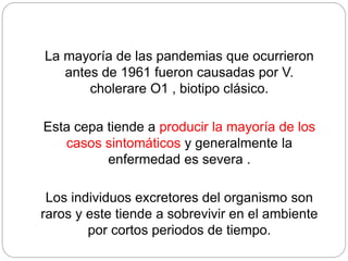 La mayoría de las pandemias que ocurrieron
antes de 1961 fueron causadas por V.
cholerare O1 , biotipo clásico.
Esta cepa tiende a producir la mayoría de los
casos sintomáticos y generalmente la
enfermedad es severa .
Los individuos excretores del organismo son
raros y este tiende a sobrevivir en el ambiente
por cortos periodos de tiempo.
 