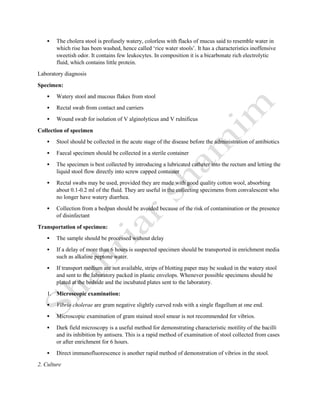  The cholera stool is profusely watery, colorless with flacks of mucus said to resemble water in
which rise has been washed, hence called ‘rice water stools’. It has a characteristics inoffensive
sweetish odor. It contains few leukocytes. In composition it is a bicarbonate rich electrolytic
fluid, which contains little protein.
Laboratory diagnosis
Specimen:
 Watery stool and mucous flakes from stool
 Rectal swab from contact and carriers
 Wound swab for isolation of V alginolyticus and V rulnificus
Collection of specimen
 Stool should be collected in the acute stage of the disease before the administration of antibiotics
 Faecal specimen should be collected in a sterile container
 The specimen is best collected by introducing a lubricated catheter into the rectum and letting the
liquid stool flow directly into screw capped container
 Rectal swabs may be used, provided they are made with good quality cotton wool, absorbing
about 0.1-0.2 ml of the fluid. They are useful in the collecting specimens from convalescent who
no longer have watery diarrhea.
 Collection from a bedpan should be avoided because of the risk of contamination or the presence
of disinfectant
Transportation of specimen:
 The sample should be processed without delay
 If a delay of more than 6 hours is suspected specimen should be transported in enrichment media
such as alkaline peptone water.
 If transport medium are not available, strips of blotting paper may be soaked in the watery stool
and sent to the laboratory packed in plastic envelops. Whenever possible specimens should be
plated at the bedside and the incubated plates sent to the laboratory.
1. Microscopic examination:
 Vibrio cholerae are gram negative slightly curved rods with a single flagellum at one end.
 Microscopic examination of gram stained stool smear is not recommended for vibrios.
 Dark field microscopy is a useful method for demonstrating characteristic motility of the bacilli
and its inhibition by antisera. This is a rapid method of examination of stool collected from cases
or after enrichment for 6 hours.
 Direct immunofluorescence is another rapid method of demonstration of vibrios in the stool.
2. Culture
 
