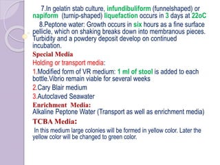 7.In gelatin stab culture, infundibuliform (funnelshaped) or
napiform (turnip-shaped) liquefaction occurs in 3 days at 22oC
8.Peptone water: Growth occurs in six hours as a fine surface
pellicle, which on shaking breaks down into membranous pieces.
Turbidity and a powdery deposit develop on continued
incubation.
Special Media
Holding or transport media:
1.Modified form of VR medium: 1 ml of stool is added to each
bottle.Vibrio remain viable for several weeks
2.Cary Blair medium
3.Autoclaved Seawater
Enrichment Media:
Alkaline Peptone Water (Transport as well as enrichment media)
TCBA Media:
In this medium large colonies will be formed in yellow color. Later the
yellow color will be changed to green color.
 
