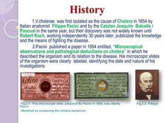 History
1.V.cholerae was first isolated as the cause of Cholera in 1854 by
Italian anatomist Filippo Pacini and by the Catalan Joaquim Balcells i
Pascual in the same year, but their discovery was not widely known until
Robert Koch, working independently 30 years later, publicized the knowledge
and the means of fighting the disease.
2.Pacini published a paper in 1854 entitled, “Microscopical
observations and pathological deductions on cholera” in which he
described the organism and its relation to the disease. His microscopic slides
of the organism were clearly labeled, identifying the date and nature of his
investigations.
Fig.2.1: This microscope slide, prepared By Pacini in 1854, was clearly Fig.2.2: Fillippo
Pacini
identified as containing the cholera bacterium.
 