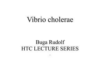 Vibrio cholerae
Buga Rudolf
HTC LECTURE SERIES
.
1
 