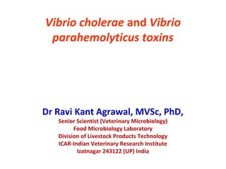 Vibrio cholerae and Vibrio
parahemolyticus toxins
Dr Ravi Kant Agrawal, MVSc, PhD,
Senior Scientist (Veterinary Microbiology)
Food Microbiology Laboratory
Division of Livestock Products Technology
ICAR-Indian Veterinary Research Institute
Izatnagar 243122 (UP) India
 