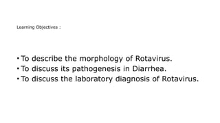 Vibrio Cholera Pathogenesis Mode Of Transmission Symptoms And