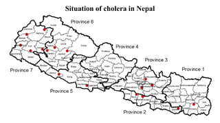 Situation of cholera in Nepal
 