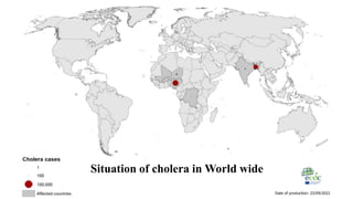 Situation of cholera in World wide
 