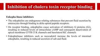 Inhibition of cholera toxin receptor binding
Enkepha linase inhibitors
• The enkephalins are endogenous relating substances that prevent fluid secretion by
enterocytes through binding to delta opioid peptide receptors.
• On receptor binding, enkephalins cause activation of inhibitory G proteins (Gi),
resulting in reduced levels of intracellular cAMP and consequent deactivation of
apical membrane CFTR Cl K channels and basolateral KC channels
• Enkephalinase inhibitors such as racecadotril increase the levels of intestinal
enkephalin, resulting in reduced secretion of salt and fluid.
 