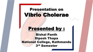 Presentation on
Vibrio Cholerae
Bishal Panth
Dipesh Thapa
National College, Kathmandu
3rd Semester
Presented by :
 