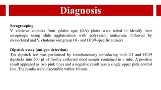 Diagnosis
Serogrouping
V. cholerae colonies from gelatin agar (GA) plates were tested to identify their
serogroups using slide agglutination with polyvalent antiserum, followed by
monoclonal and V. cholerae serogroup O1- and O139-specific antisera
Dipstick assay (antigen detection)
The dipstick test was performed by simultaneously introducing both O1 and O139
dipsticks into 200 μl of freshly collected stool sample contained in a tube. A positive
result appeared as two pink lines and a negative result was a single upper pink control
line. The results were discernible within 10 min.
 