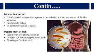 Contin…..
Incubation period
• It is the period between the exposure to an infection and the appearance of the first
symptom
• Few hours to 5 days
• Its commonly seen in 1-2 days
People most at risk
• People with low gastric acid levels
• Children 10x more susceptible than adult
• Blood types O>>B>A>AB
 