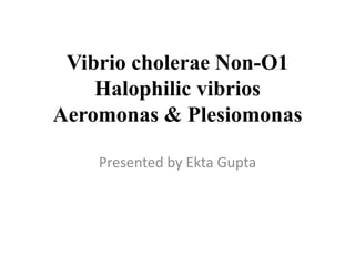 Vibrio cholerae Non-O1
Halophilic vibrios
Aeromonas & Plesiomonas
Presented by Ekta Gupta
 