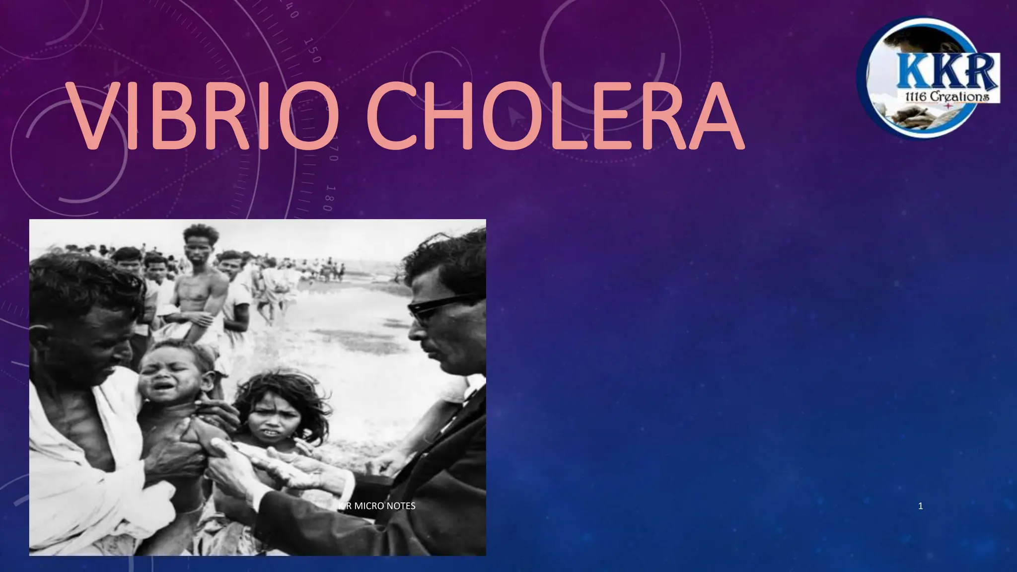 Vibrio Cholera Pptx