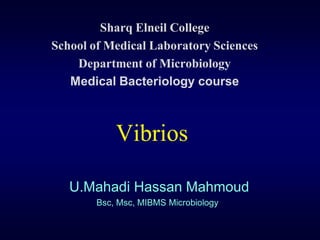 Sharq Elneil College
School of Medical Laboratory Sciences
    Department of Microbiology
   Medical Bacteriology course



            Vibrios

   U.Mahadi Hassan Mahmoud
        Bsc, Msc, MIBMS Microbiology
 