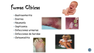 Formas Clínicas
 Gastroenteritis
 Diarrea
 Neumonía
 Septicemia
 Infecciones urinarias
 Infecciones de heridas
 Osteomielitis
 
