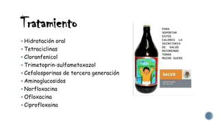 Tratamiento
 Hidratación oral
 Tetraciclinas
 Cloranfenicol
 Trimetoprin-sulfametoxazol
 Cefalosporinas de tercera generación
 Aminoglucosidos
 Norfloxacina
 Ofloxacina
 Ciprofloxaina
 