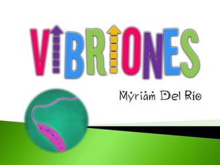 VIBRIONES Myriam Del Río 