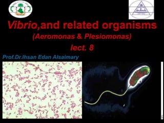 Vibrio,and related organisms
(Aeromonas & Plesiomonas)
lect. 8
Prof.Dr.Ihsan Edan Alsaimary
 