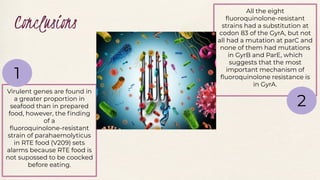 Conclusions
Virulent genes are found in
a greater proportion in
seafood than in prepared
food, however, the ﬁnding
of a
ﬂuoroquinolone-resistant
strain of parahaemolyticus
in RTE food (V209) sets
alarms because RTE food is
not supossed to be coocked
before eating.
All the eight
ﬂuoroquinolone-resistant
strains had a substitution at
codon 83 of the GyrA, but not
all had a mutation at parC and
none of them had mutations
in GyrB and ParE, which
suggests that the most
important mechanism of
ﬂuoroquinolone resistance is
in GyrA.
1
2
 