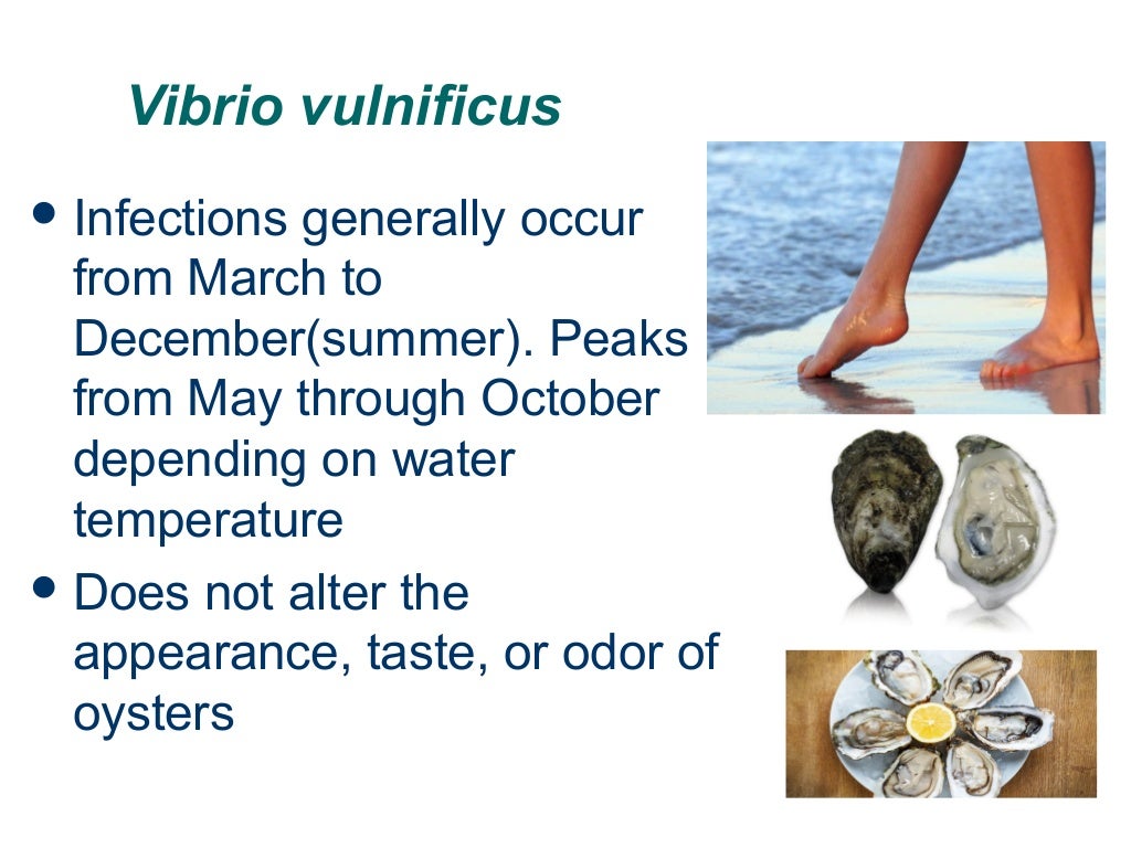 Vibrio vulnificus