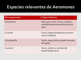 Microorganismo Origen histórico
Aeromonas Aero, gas o aire; monas, unidad o
mónada (bacterias productoras de
aire)
A.caviae Cavia, cobaya (aislada por primera
vez en cobayas)
A.hydrophila Hydro, agua; phila, amante (amante
del agua)
A.veronii Veron, recibe su nombre del
bacteriólogoVeron
 