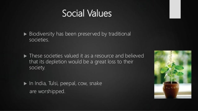 Biodiversity Value Hotspot Threats