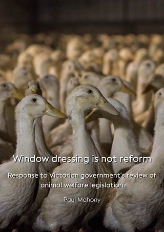 Window dressing is not reform
Response to Victorian government’s review of
animal welfare legislation
Paul Mahony
 