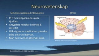 Neurovetenskap
Gotink 2018, Klimecki 2012, Hözel 2010 mm.
McEwen Nature Neuroscience 2015
Stress
• PFC och hippocampus öka...