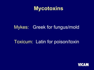 Mycotoxins
Mykes: Greek for fungus/mold
Toxicum: Latin for poison/toxin
 