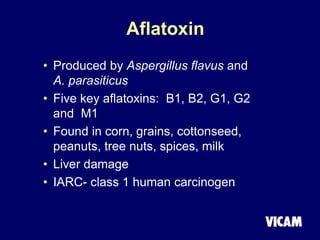 Aflatoxin
• Produced by Aspergillus flavus and
A. parasiticus
• Five key aflatoxins: B1, B2, G1, G2
and M1
• Found in corn, grains, cottonseed,
peanuts, tree nuts, spices, milk
• Liver damage
• IARC- class 1 human carcinogen
 