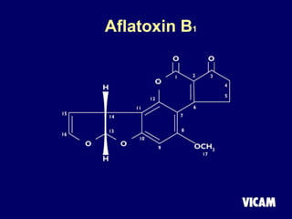Aflatoxin B1
 