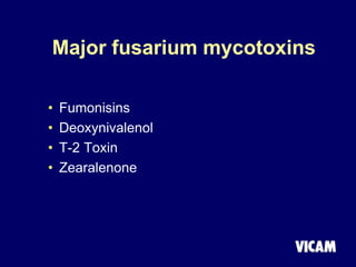 Major fusarium mycotoxins
• Fumonisins
• Deoxynivalenol
• T-2 Toxin
• Zearalenone
 