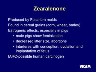 Zearalenone
Produced by Fusarium molds
Found in cereal grains (corn, wheat, barley)
Estrogenic effects, especially in pigs
• male pigs show feminization
• decreased litter size, abortions
• interferes with conception, ovulation and
implantation of fetus
IARC-possible human carcinogen
 