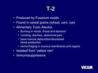 T-2
• Produced by Fusarium molds
• Found in cereal grains (wheat, corn, rye)
• Alimentary Toxic Aleukia
• Burning in mouth, throat and stomach
• vomiting, diarrhea, abdominal pain
• bone marrow destruction/decreased
blood production
• hemorrhaging in mucous membranes and organs
• Isolated from “yellow rain”
• Immunosuppressive
 