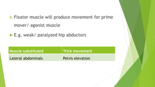 B. Fixator muscle will produce movement for prime
mover/ agonist muscle
 E.g. weak/ paralyzed hip abductors
Muscle substituted Trick movement
Lateral abdominals Pelvis elevation
 