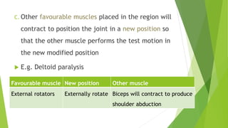 C. Other favourable muscles placed in the region will
contract to position the joint in a new position so
that the other muscle performs the test motion in
the new modified position
 E.g. Deltoid paralysis
Favourable muscle New position Other muscle
External rotators Externally rotate Biceps will contract to produce
shoulder abduction
 