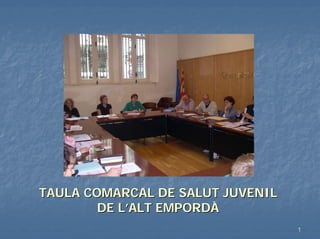 TAULA COMARCAL DE SALUT JUVENIL
        DE L’ALT EMPORDÀ
                                  1
 
