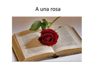 A una rosa
 