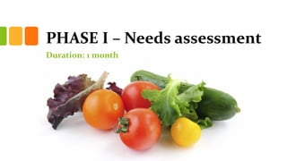 PHASE I C Needs assessment
Duration: 1 month
 