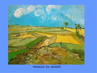 TRIGALES EN ANVERS
 