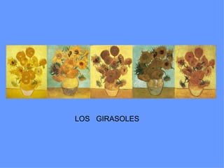 LOS GIRASOLES
 