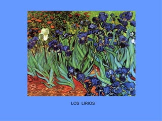 LOS LIRIOS
 
