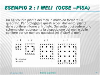 ESEMPIO 2 : I MELI  (OCSE –PISA)  Un agricoltore pianta dei meli in modo da formare un quadrato. Per proteggere questi alberi dal vento, pianta delle conifere intorno al frutteto. Qui sotto puoi vedere uno schema che rappresenta la disposizione dei meli e delle conifere per un numero qualsiasi ( n) di filari di meli: 20 gennaio 2011 Flavia Giannoli 