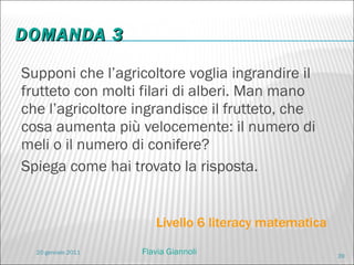 DOMANDA 3 Supponi che l’agricoltore voglia ingrandire il frutteto con molti filari di alberi. Man mano che l’agricoltore ingrandisce il frutteto, che cosa aumenta più velocemente: il numero di meli o il numero di conifere?  Spiega come hai trovato la risposta. Livello 6 literacy matematica 20 gennaio 2011 Flavia Giannoli 