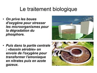 Le traitement biologique
●   On prive les boues
    d'oxygène pour stresser
    les microorganismes pour
    la dégradation du
    phosphore.


●   Puis dans la partie centrale
    : «bassin aérobie» on
    envoie de l'oxygène pour
    transformer l'amoniaque
    en nitrates puis en azote
    gazeux.
 