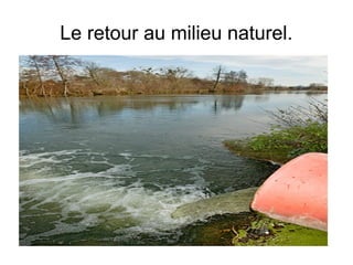 Le retour au milieu naturel.
 
