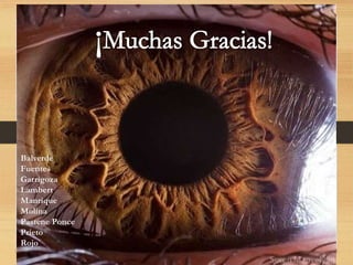 Balverde
Fuentes
Garrigoza
Lambert
Manrique
Molina
Pastene Ponce
Prieto
Rojo
 