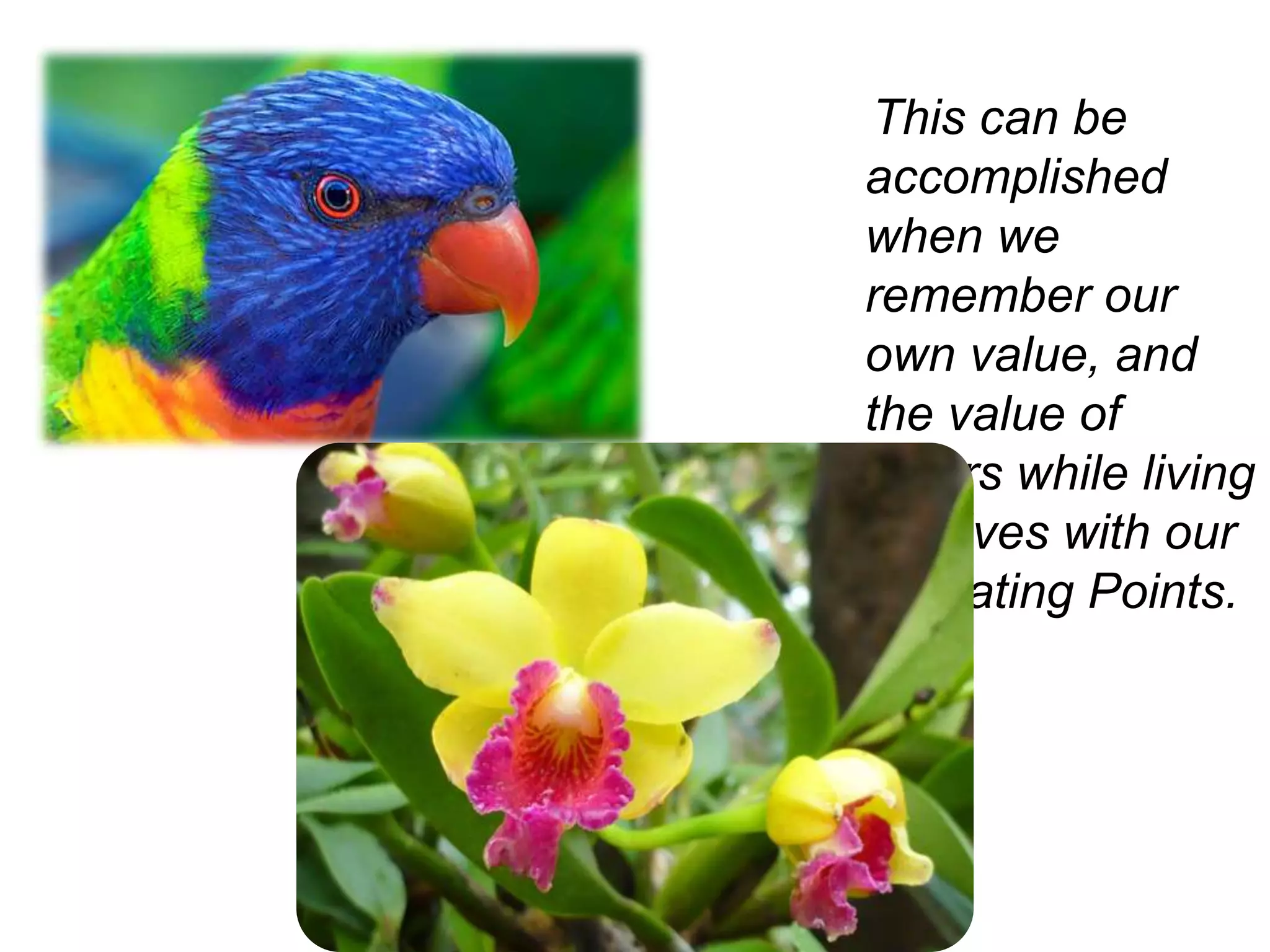 ScarcityA feeling of scarcity also drives us to take on more activities and tasks than are necessary. When we live in fear of lack of money and success we tend to clutter our minds with numerous details as we chase after financial freedom.