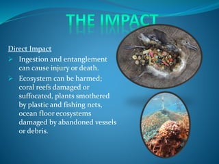 Direct Impact
 Ingestion and entanglement
can cause injury or death.
 Ecosystem can be harmed;
coral reefs damaged or
suffocated, plants smothered
by plastic and fishing nets,
ocean floor ecosystems
damaged by abandoned vessels
or debris.
 