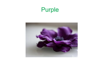 Purple
 
